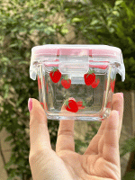 ظرف فریزری درب قفلی طرحدار - Image 2