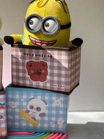 باکس ارگانایزر رومیزی فانتزی - Image 3