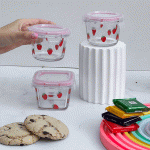 ظرف فریزری درب قفلی