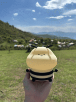 چراغ زنبور سیلیکونی